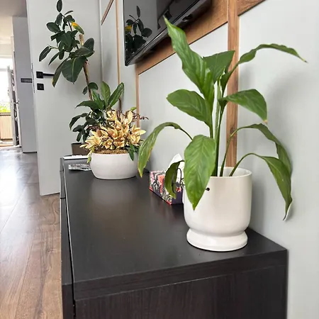Apartment Taki Debrecen